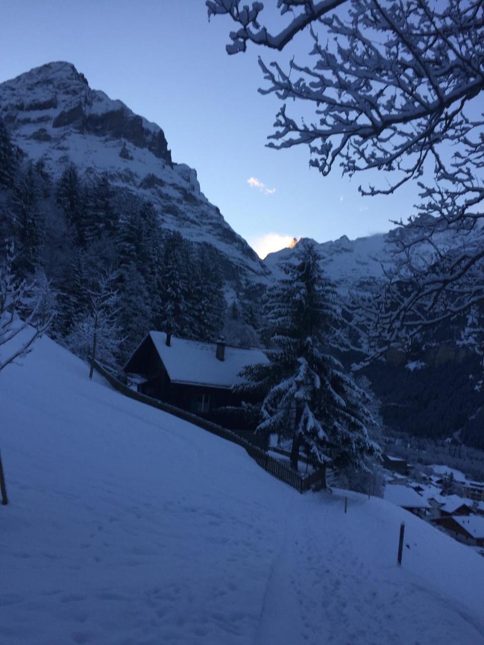 Gruenegg Appartement