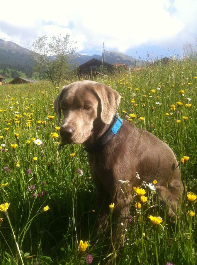 Gruenegg Grindelwald